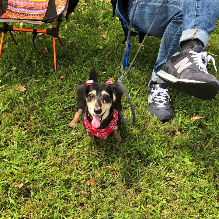 42fd85ab 70a7 4f84 871c bdd5aed7d468 1631530700654