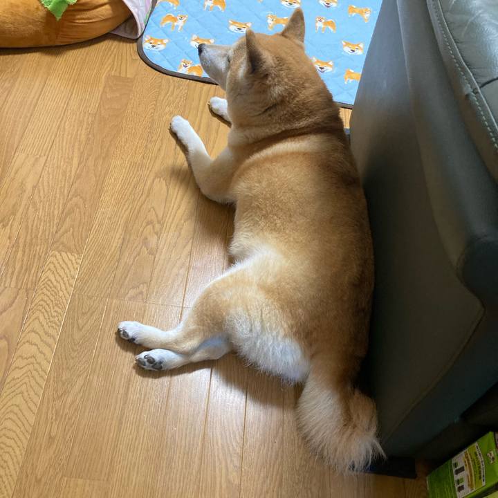 42fdbdbc 1edd 446f ae86 3918865a77b0 1627818648799