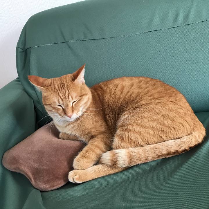 42fdd231 e461 480b 9919 5f2f766afd0c 1545360067857