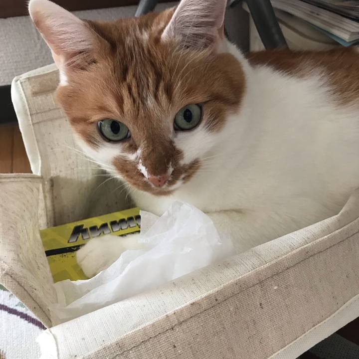 42fdd87d 59d9 4ed0 91e3 3f2097908279 1572048444980