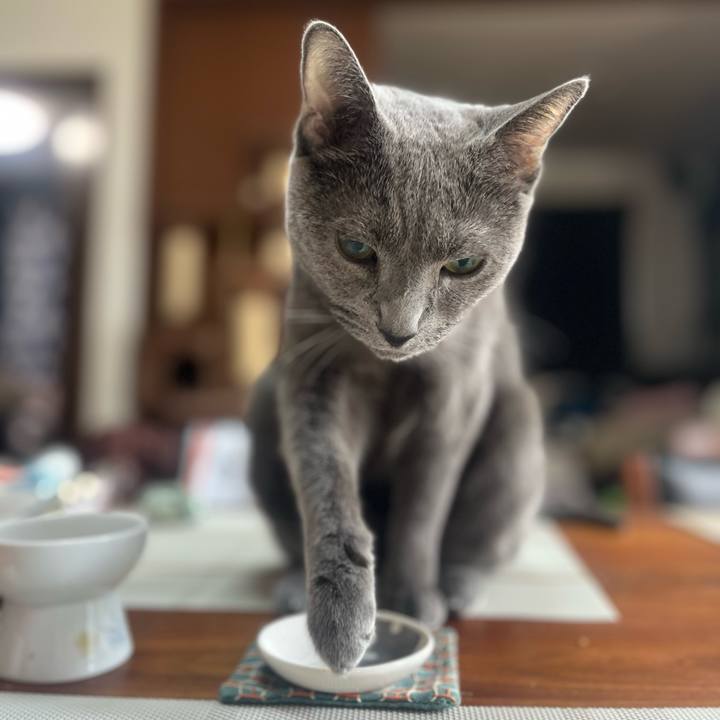 42fde2fe 1c28 4a72 9f4e e04bb5e5dca4 1728177712748