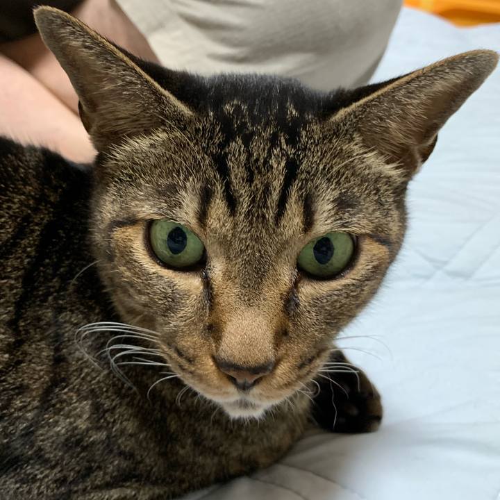 42fdee8c 5d24 4c25 b417 c0d51b9ee7ab 1537750133463