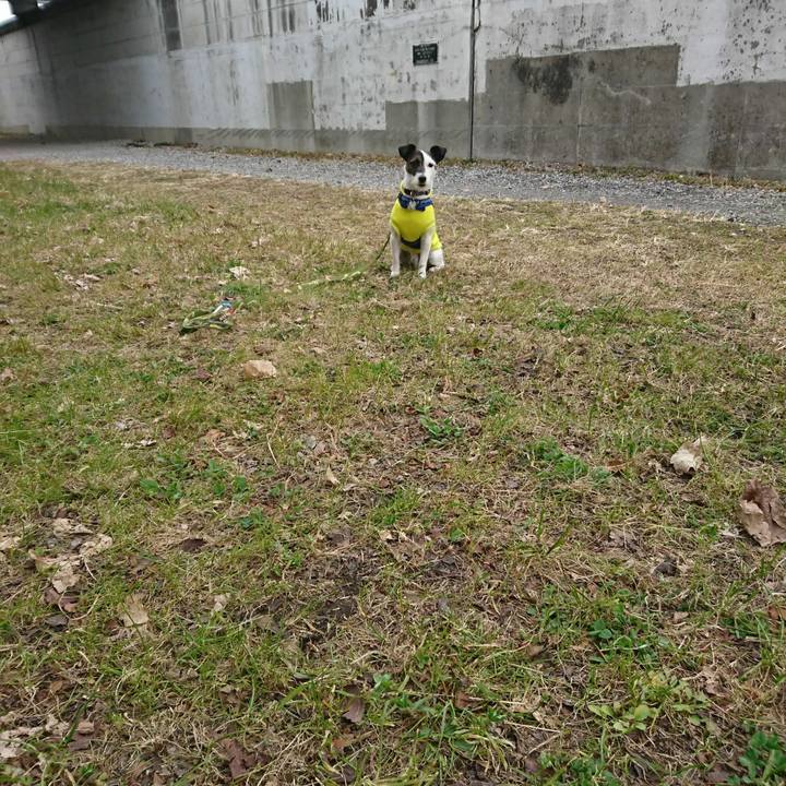 42fe128b 2e57 4b8c 8aa4 617d918366f6 1516405862632