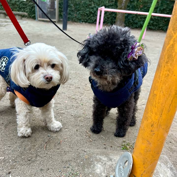 42fe2feb 933d 4d3b bb7f 051c0f56ef58 1769590030973