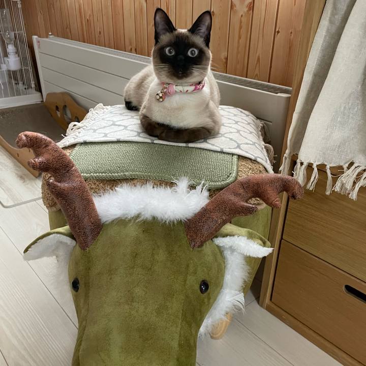 42fe5a1c 360a 457c ac0b e43447b1ebd9 1714252810546