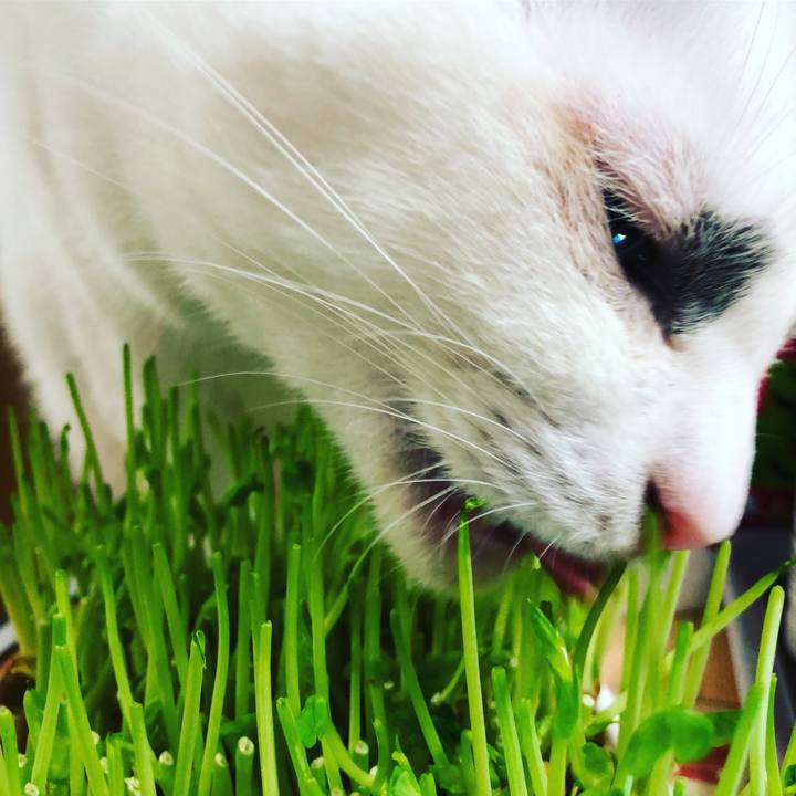 42fe7237 7098 42f5 b94d 0137e0056e38 1516801040399