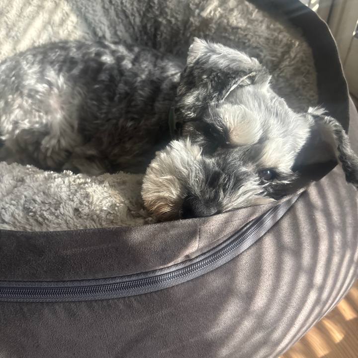 42fed7a0 8eef 45e6 b4a0 f4c58848c66b 1737783738704