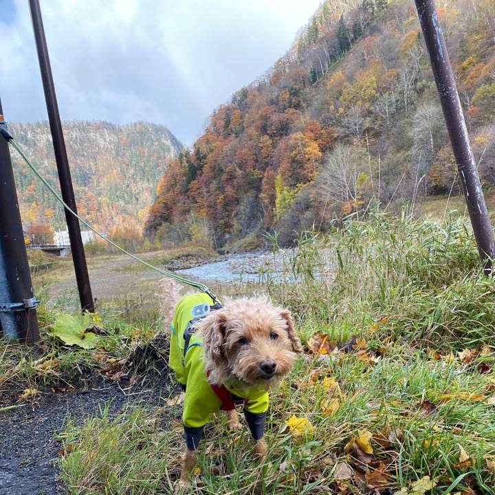 42fef923 aaec 4888 a883 9ba315ddcd9f 1698026285453