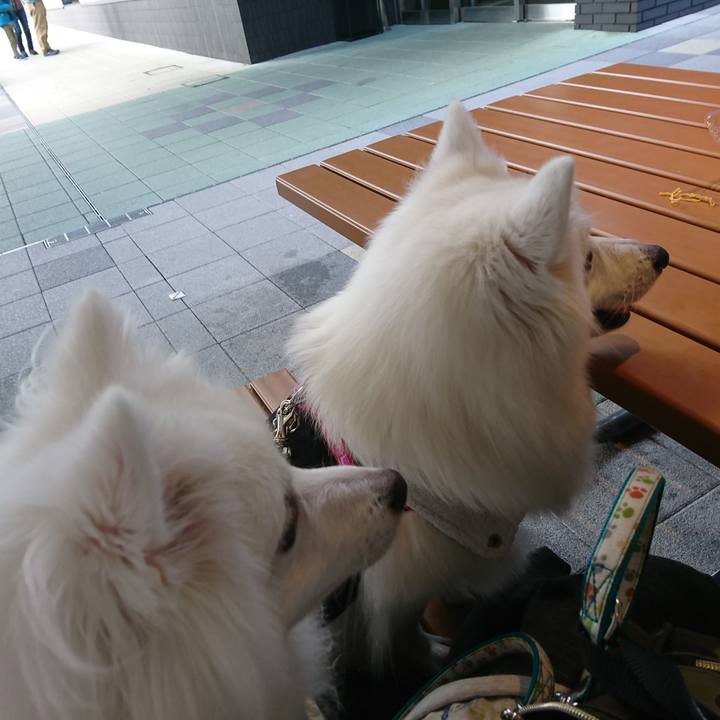 42ff28e4 c22d 4baa 841d b19d193c5e4d 1577512654997