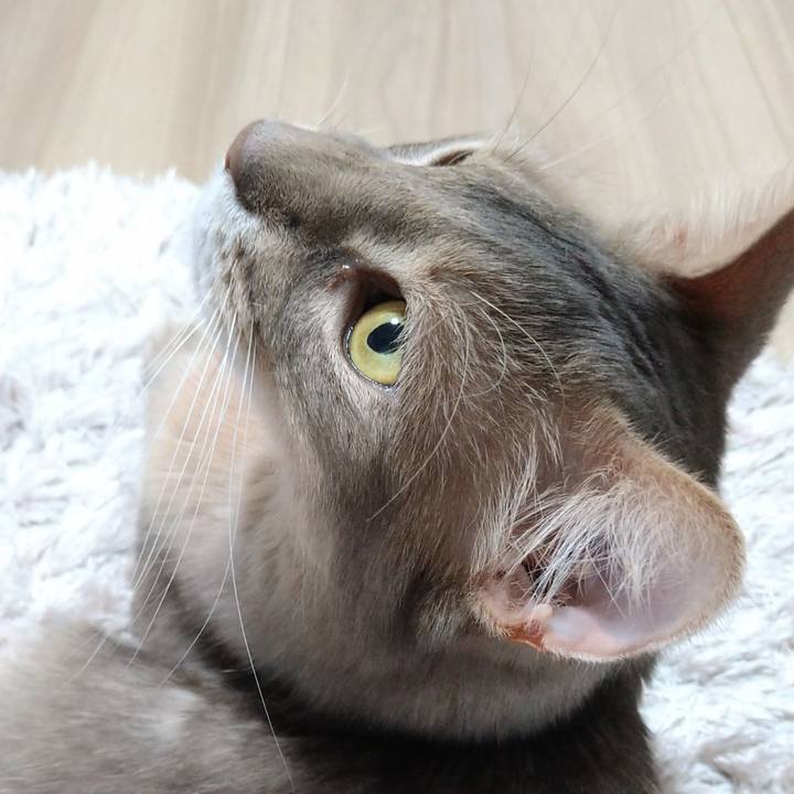 42ff339f d15c 4553 83fb 52f9d6c9742b 1615613683243