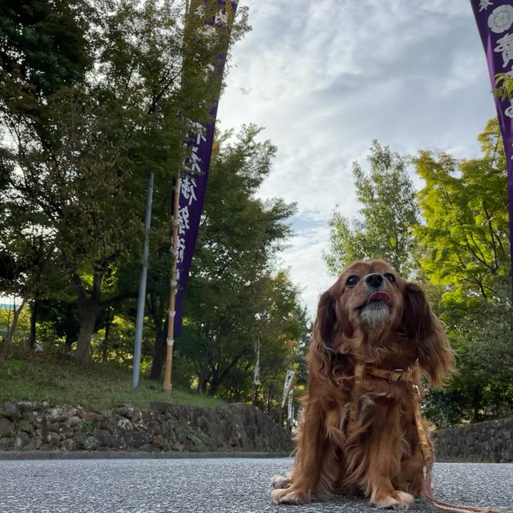 42ff506e 83f6 40a7 81b9 71bd901a0373 1696635196847