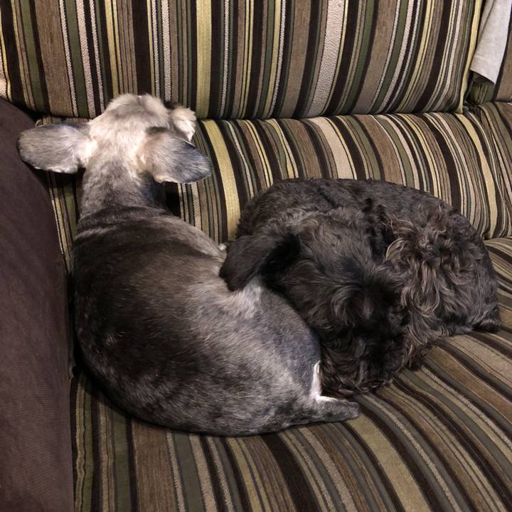 42ff7f49 81f9 4189 a075 321f67d456a3 1521723272309