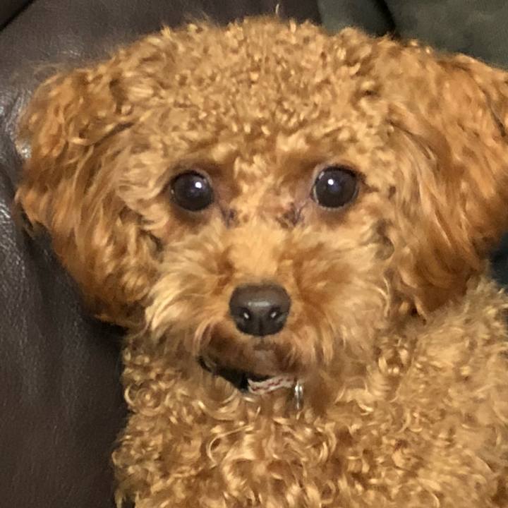 42ff8ef5 d882 4521 b7fb eae8a65349bc 1512003685163