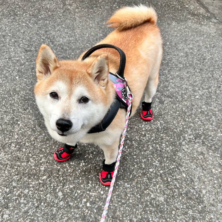 42ff9e95 4d46 44c8 90c3 37d5d4c4a4bc 1733554946473