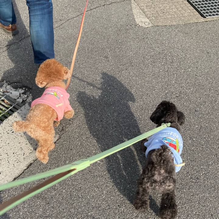 42ffdae9 e969 406f a507 5b074180ca6c 1621002593777