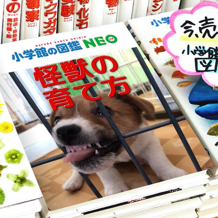 4300118c 1c20 4984 82b1 5ed526f7c53c 1578325403689