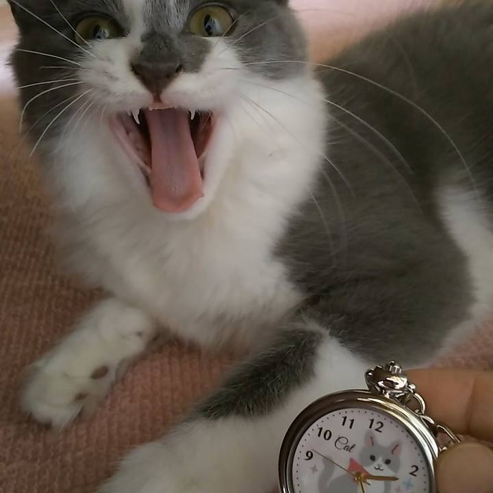 43001964 dc77 407d 966b 503444c4f56d 1567920660693