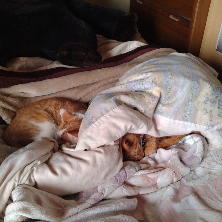 43006ab7 328a 4629 9deb a27eefb58f83 1741313185239