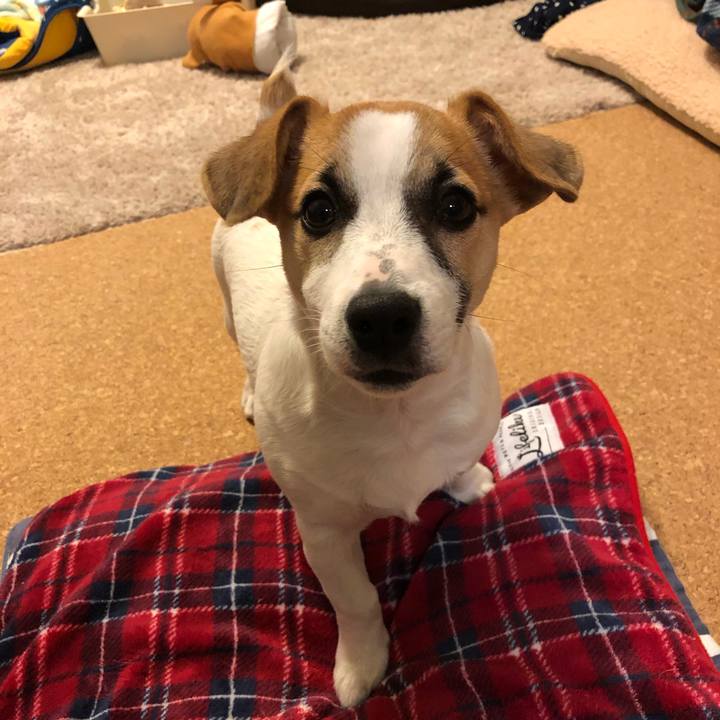 43008558 7fbb 44fc a5c7 e7809d67acd5 1551791752623