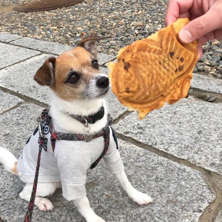 43008fa5 cda2 44f3 96cc 46ee984d4f12 1543127198943