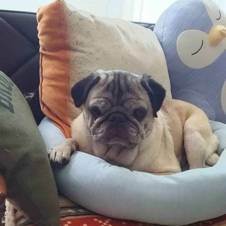 43009495 f1a4 481e a6e9 1a7d5eb92ceb 1559017663124