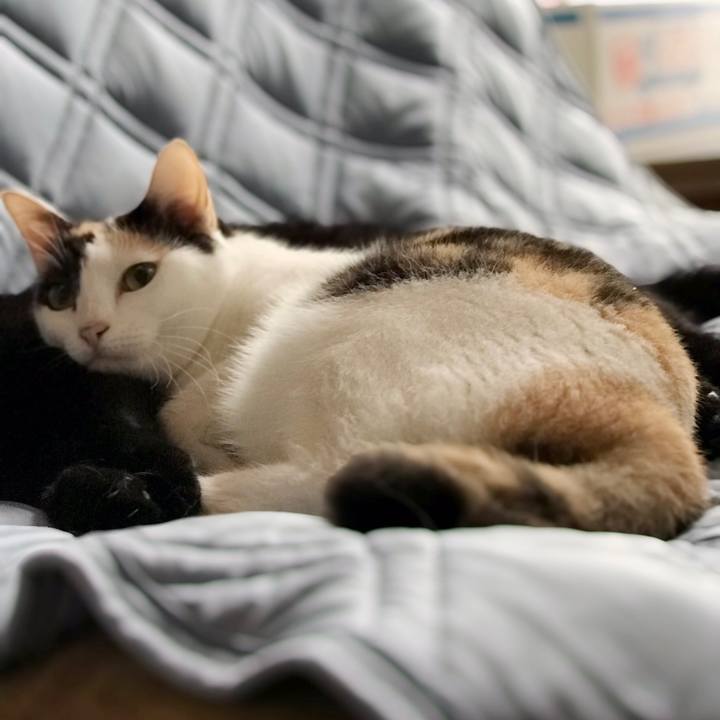 43009c77 ad8f 4185 8399 0dfd46e9e509 1537492276781