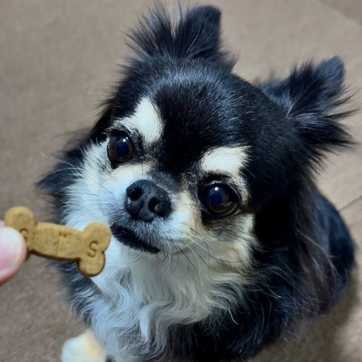 4300b85a 21ea 4cb6 96ce 0038df55c305 1746063831426