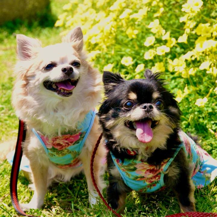 4300e9a9 60b5 44d4 9896 af241579394a 1765109152168