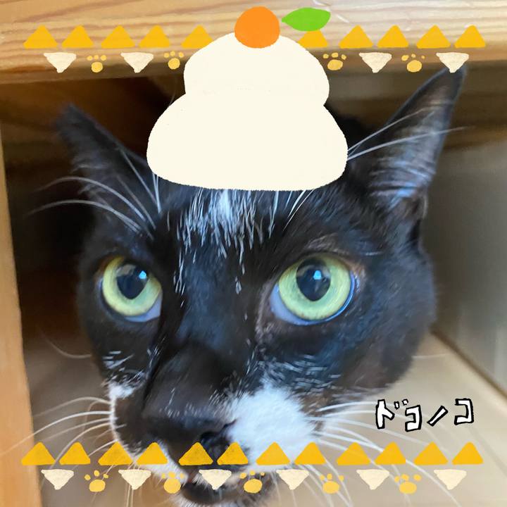 430104cb f453 4a44 bd5d 1bd50ca1b889 1704494832509