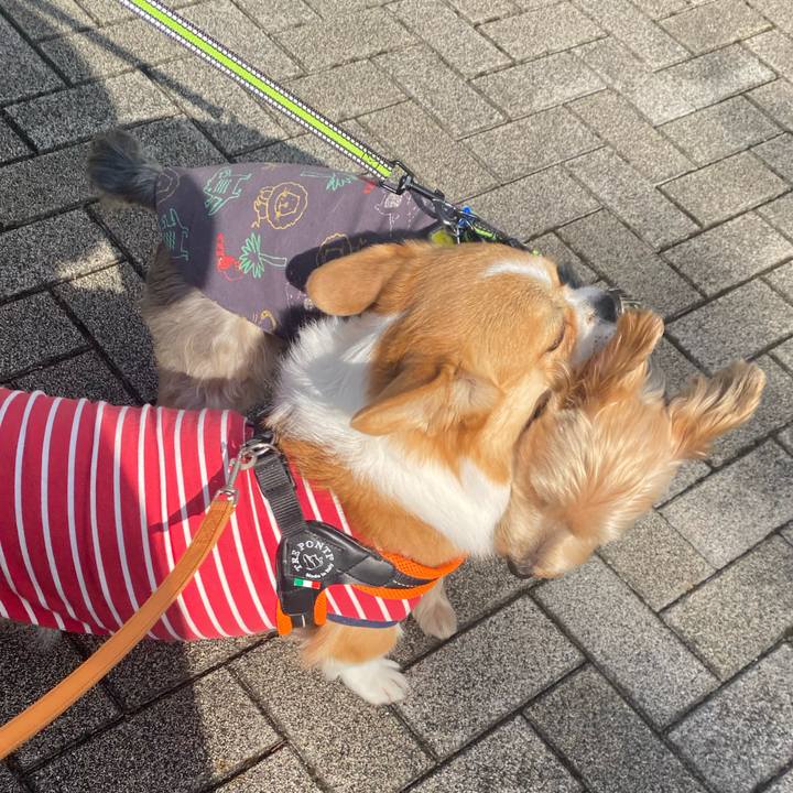 4301171c 76ac 4c1c 9bbb a83b7d3070cd 1731396830774