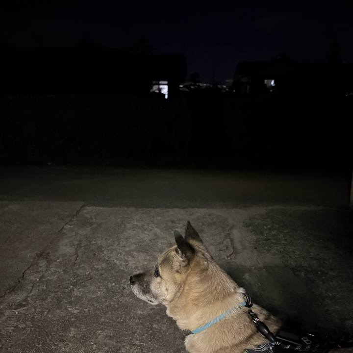 43012fa3 24fb 42a7 a0cd f52bac73ed09 1734958334202