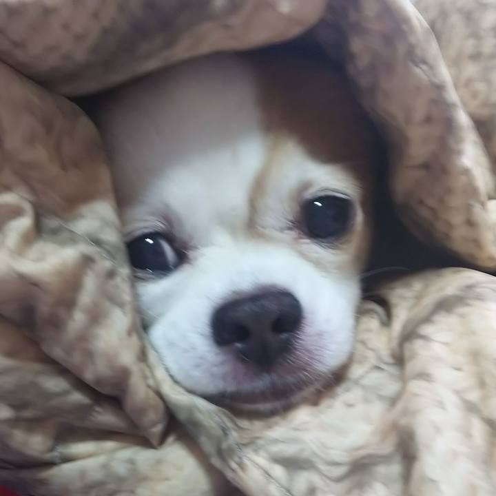 430130ca 480d 458c ba1f b3aefefcdc69 1589965033001