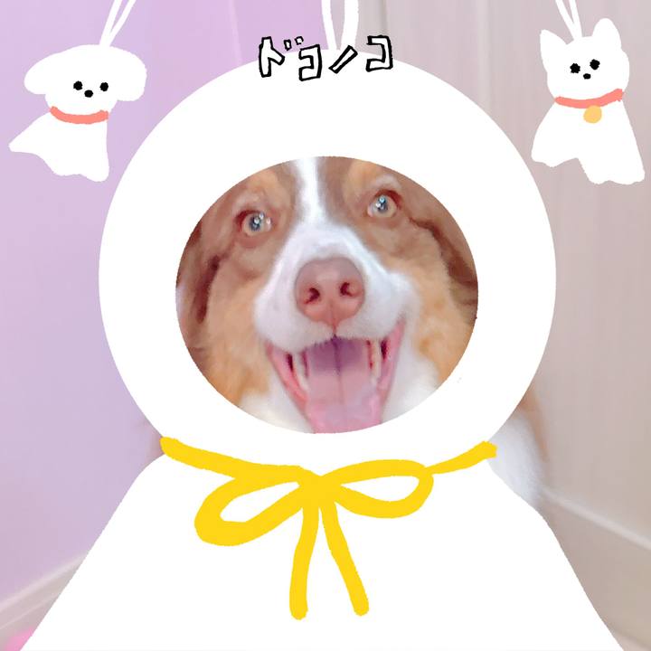 43015b04 2710 4d6f b8bd c9ed736fb892 1781695082387