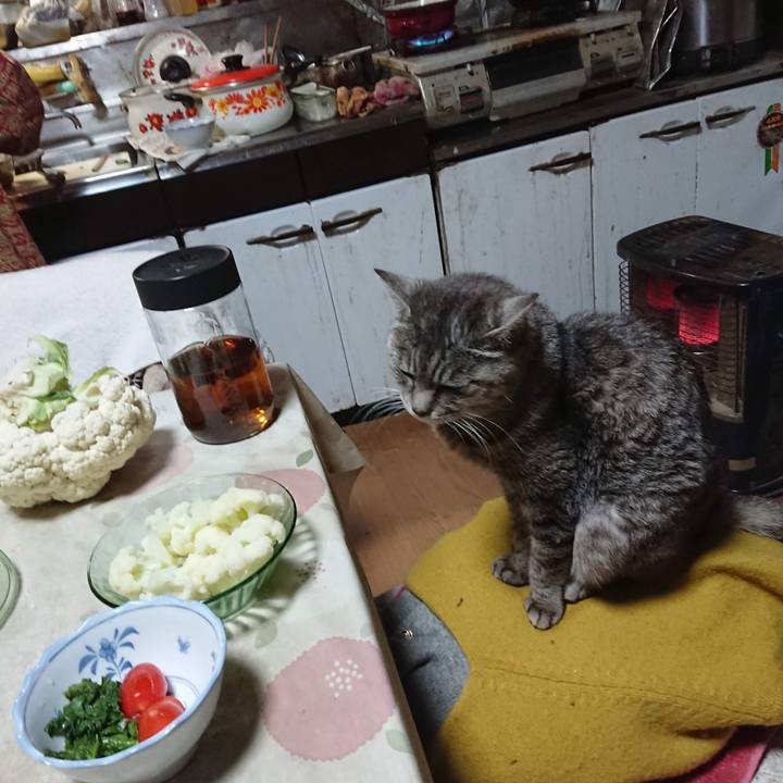 4301c683 a339 4578 a2b4 d7ce2c18bd25 1604664567556