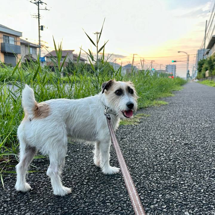 4301dad0 a14d 44d9 8c5c 5ecb2303e38f 1722151424667