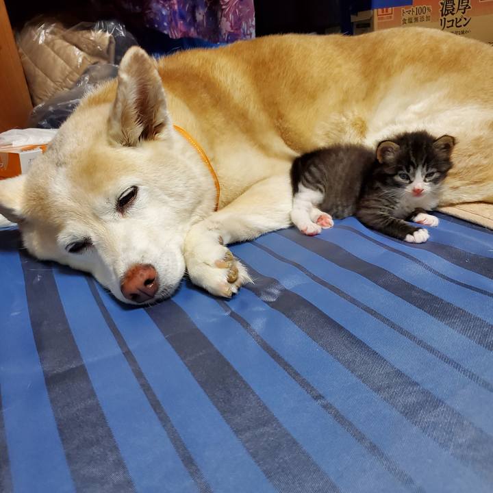 4301db55 1d4a 4de8 9f08 19838d0724b6 1623635451135