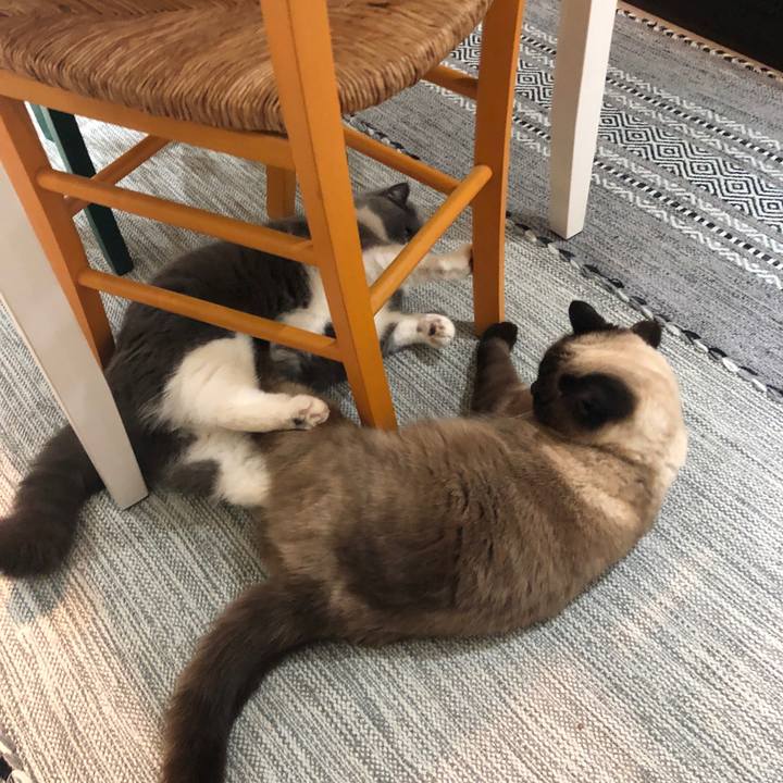 430203d3 d126 423a ad03 6544ceaebbbd 1618313372322