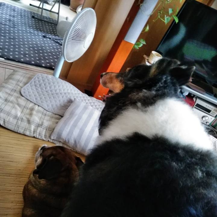 43021bbc 81fe 4219 bfbb cd688658f512 1566910426973