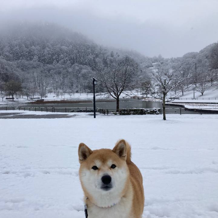 43026b29 9585 453a a01b db3273250c25 1709252498409