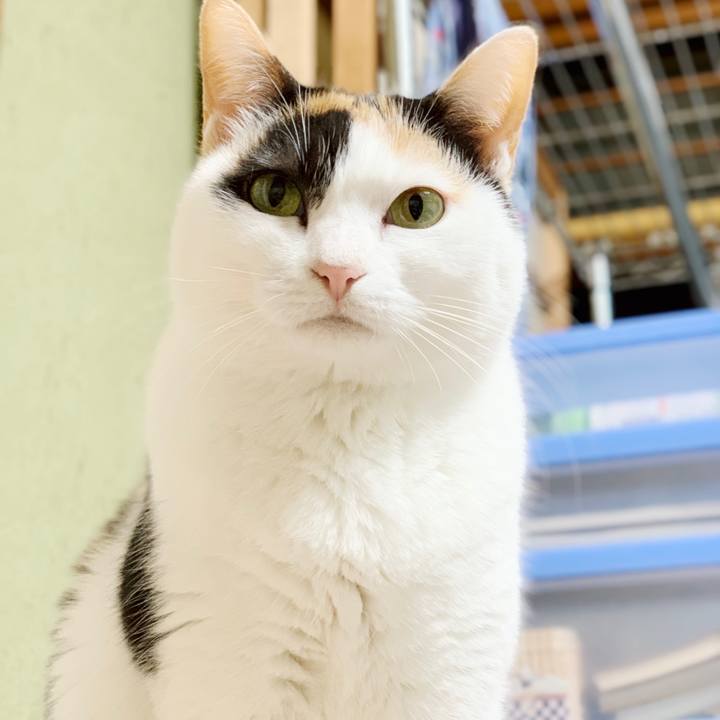 4302aa4a 0b55 4895 b53b 8c613328ac19 1551838458326