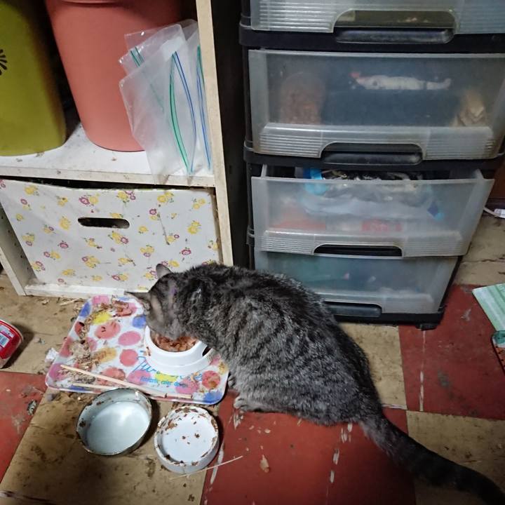 4302c22d 05e7 400e 90c9 a69d38d3754c 1580680146392