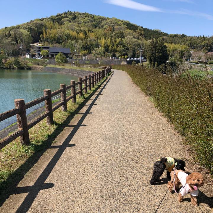 4302dd19 a713 4644 8fbd 86df97855cff 1587577466356