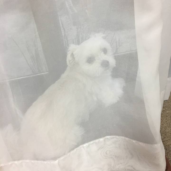 4302fd8d d5db 4d04 b416 75d598a33026 1545289851825