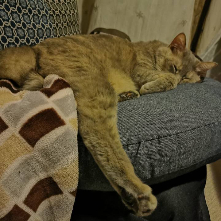 43030a8f 21a4 4352 a0e0 ebfa022a2db5 1641871417097