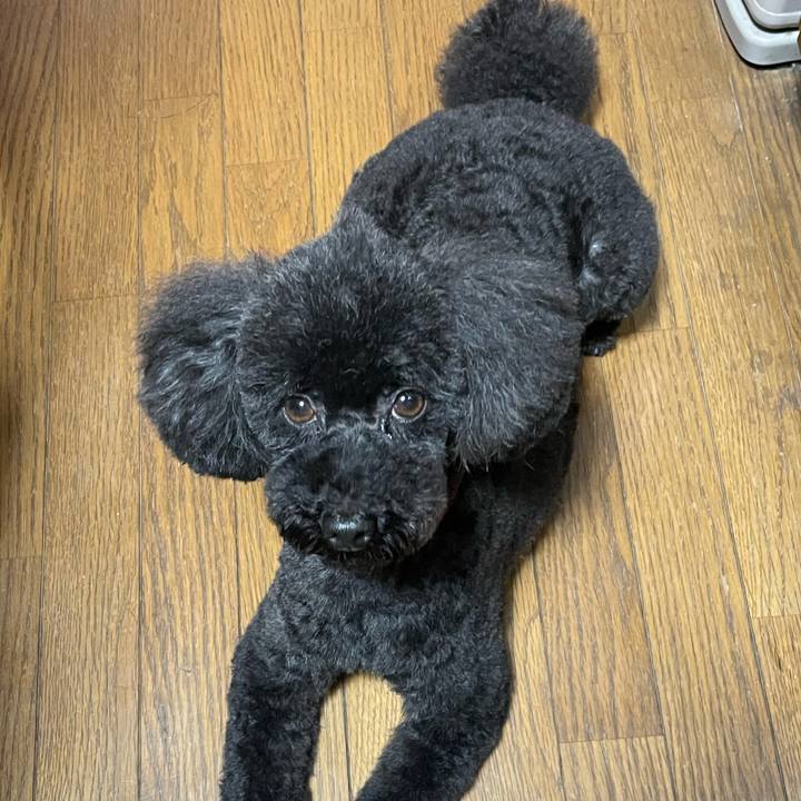 43036eb9 b6cd 49e5 9332 fb07cb1bdc53 1624689524372