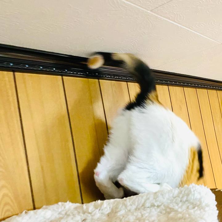 43036f72 2bb2 4d4d 8067 a15e5cf86121 1679786965824