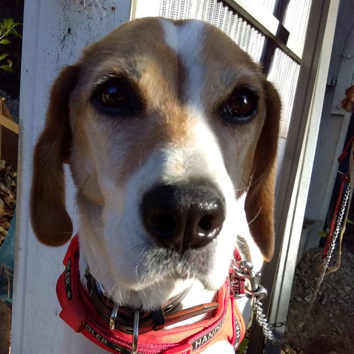 43039f1a 97c7 409c b800 b1178a8dbb5a 1702191794628