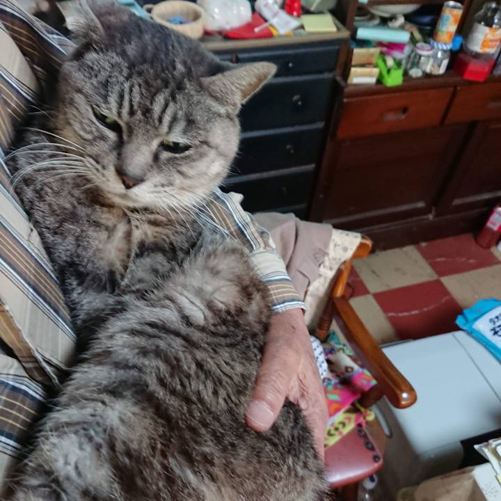 4303f5df 55c1 4d66 a71d c3befb0bb9df 1603139664178