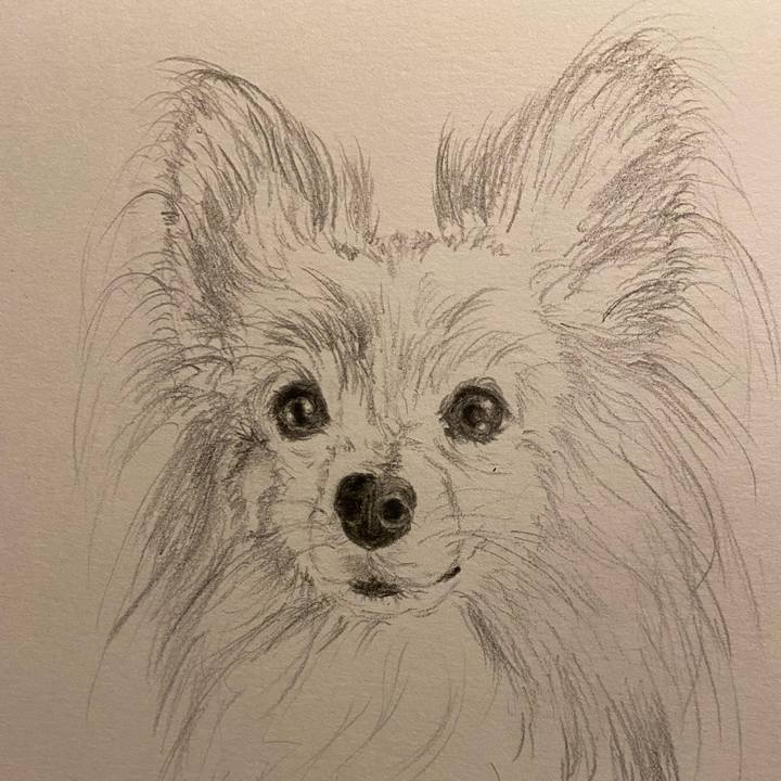 43041b52 656f 45da b1af 15f53b305173 1633182341872