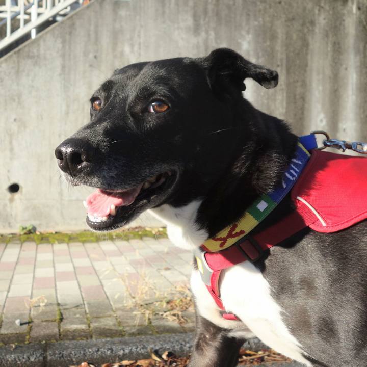 43043392 f062 4f0b ac67 2348e922b1a6 1668559388980